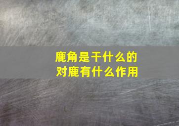 鹿角是干什么的 对鹿有什么作用